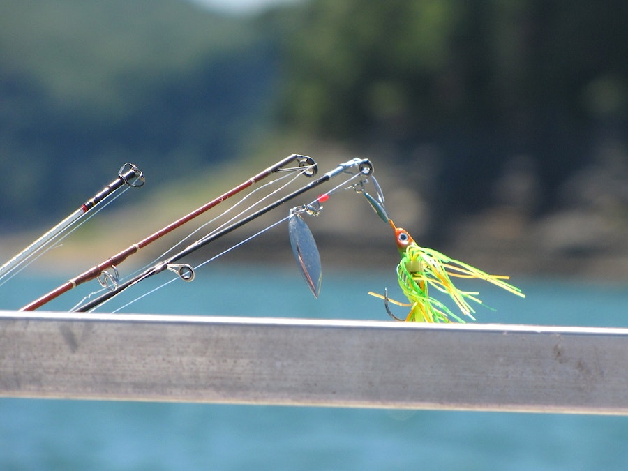 Fishing with Tony Lincoln | The Little Things